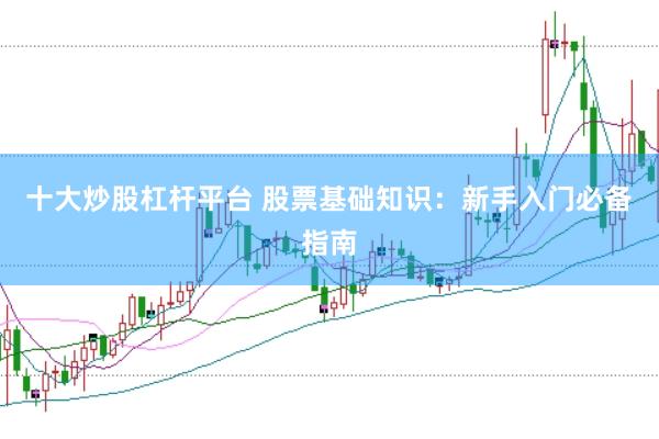 十大炒股杠杆平台 股票基础知识：新手入门必备指南