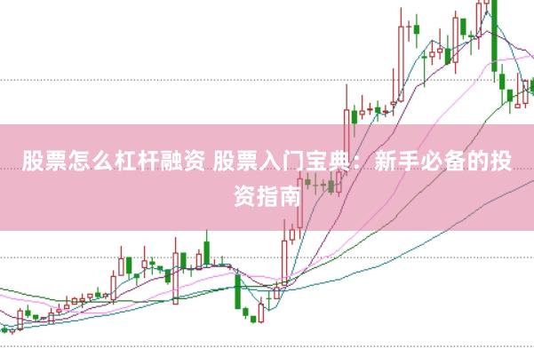 股票怎么杠杆融资 股票入门宝典：新手必备的投资指南