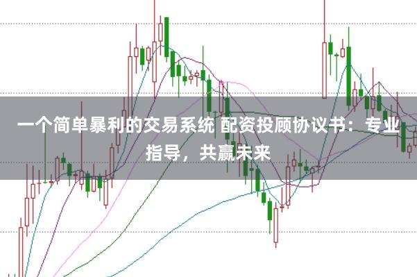 一个简单暴利的交易系统 配资投顾协议书：专业指导，共赢未来