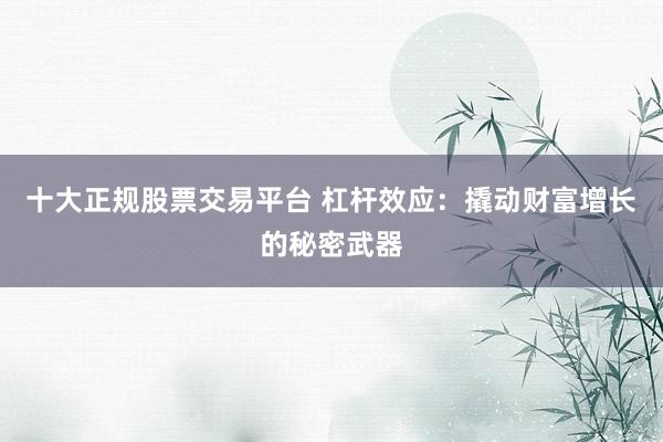 十大正规股票交易平台 杠杆效应：撬动财富增长的秘密武器
