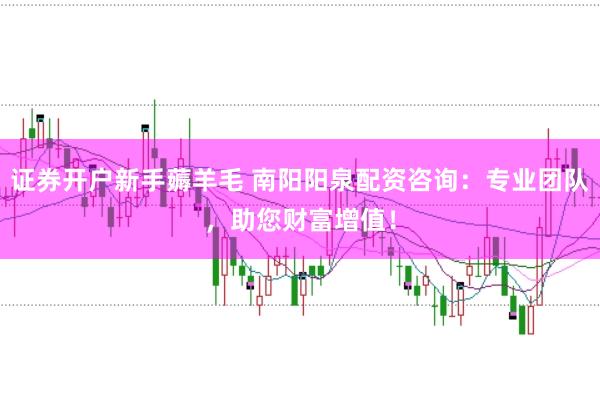 证券开户新手薅羊毛 南阳阳泉配资咨询：专业团队，助您财富增值！