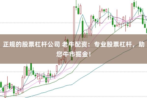 正规的股票杠杆公司 老牛配资：专业股票杠杆，助您牛市掘金！