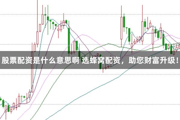 股票配资是什么意思啊 选蜂窝配资，助您财富升级！