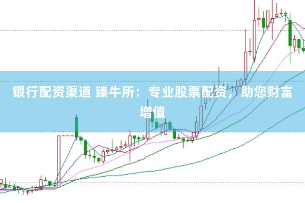 银行配资渠道 臻牛所：专业股票配资，助您财富增值