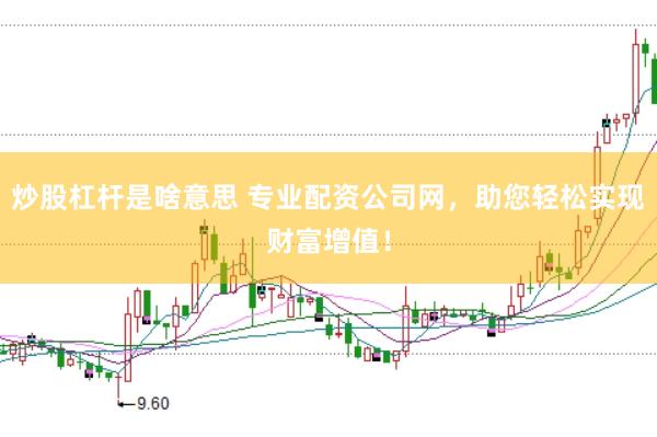 炒股杠杆是啥意思 专业配资公司网，助您轻松实现财富增值！