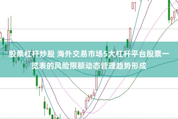 股票杠杆炒股 海外交易市场5大杠杆平台股票一览表的风险限额动态管理趋势形成