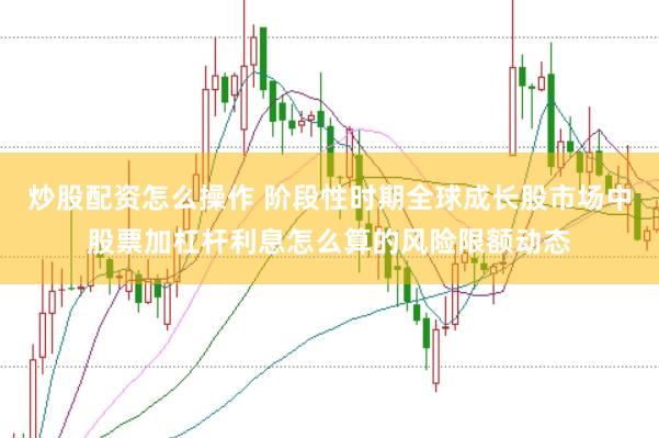 炒股配资怎么操作 阶段性时期全球成长股市场中股票加杠杆利息怎么算的风险限额动态