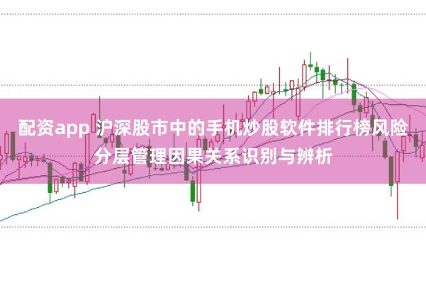 配资app 沪深股市中的手机炒股软件排行榜风险分层管理因果关系识别与辨析