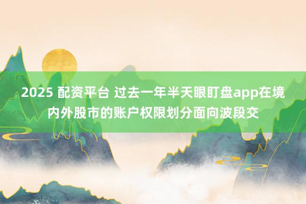 2025 配资平台 过去一年半天眼盯盘app在境内外股市的账户权限划分面向波段交