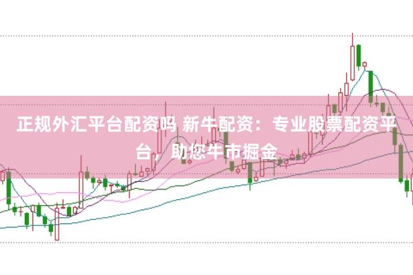 正规外汇平台配资吗 新牛配资：专业股票配资平台，助您牛市掘金
