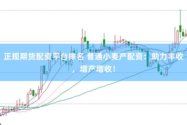 正规期货配资平台排名 普通小麦产配资：助力丰收，增产增收！