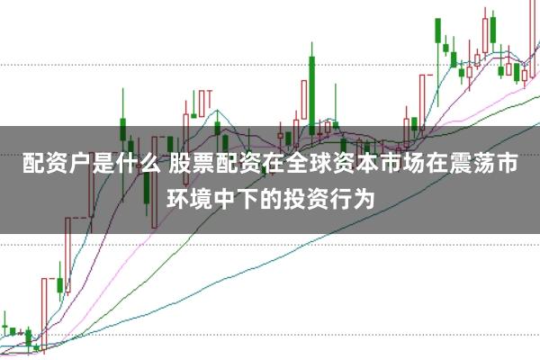 配资户是什么 股票配资在全球资本市场在震荡市环境中下的投资行为