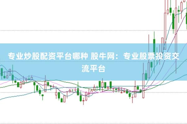 专业炒股配资平台哪种 股牛网：专业股票投资交流平台