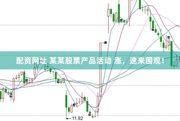 配资网址 某某股票产品活动 涨，速来围观！