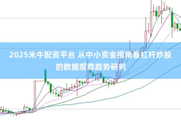 2025米牛配资平台 从中小资金视角看杠杆炒股的数据观察趋势研判